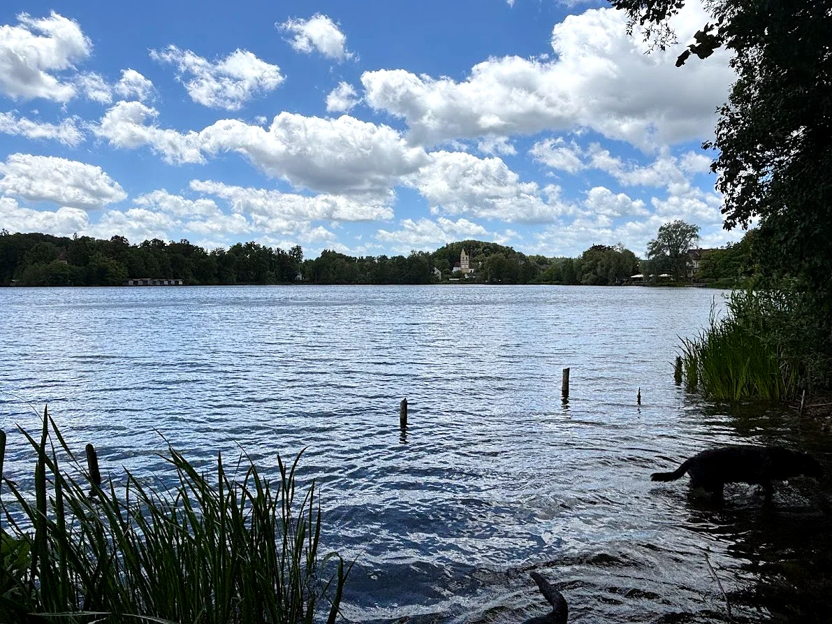 Weßlinger See