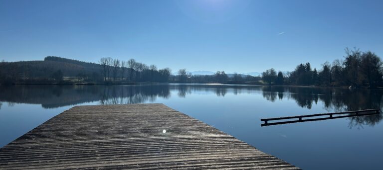 Immobilien am See